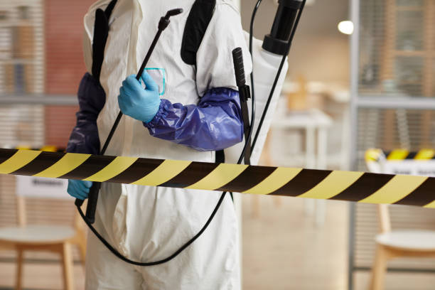 Professional Sewage Cleanup technician working in Folsom, PA